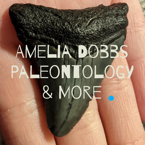 Amelia Dobbs Paleontology & More