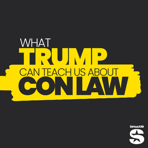 What Roman Mars Can Learn About Con Law