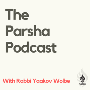 Thinking Talmudist Podcast · Rabbi Aryeh Wolbe
