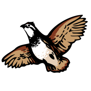 The Sporting Life Notebook Podcast