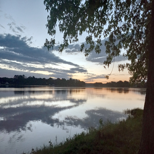 Michael Ott's Podcast