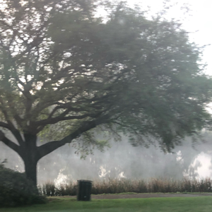 Undertaking Shadow Work