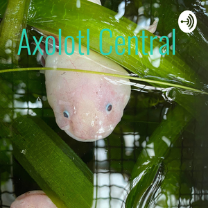 Axolotl Central