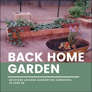 Back Home Garden