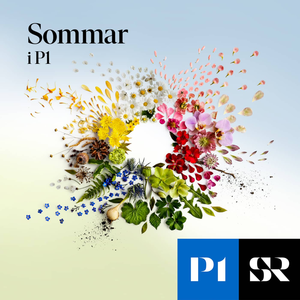 Sommar & Vinter i P1