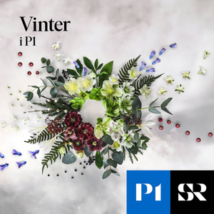 Sommar & Vinter i P1