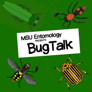 Bug Talk