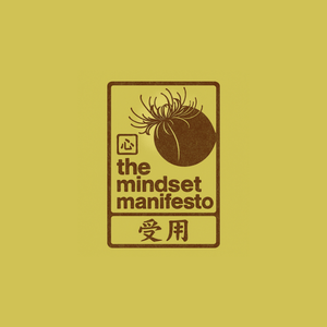 the mindset manifesto