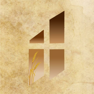 Bible Audio