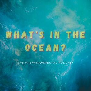 What's In The Ocean?