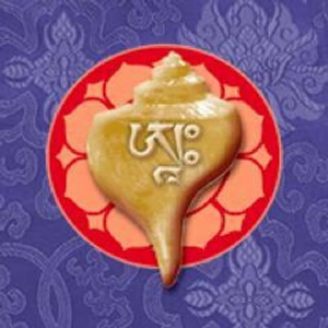 Buddhism for Beginners 