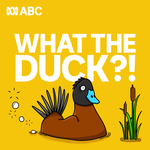 Are Pigeons Smarter Than They Look?