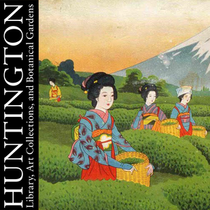 Green Tea Across the Pacific: Japanese Producers and American Consumers, 1870-1940