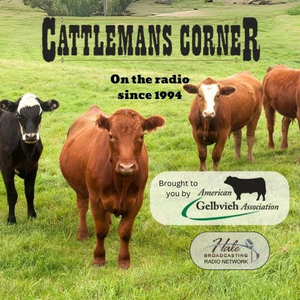 Cattleman’s Corner