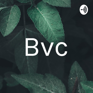 Bvc