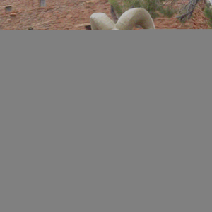 Native American Culture & History