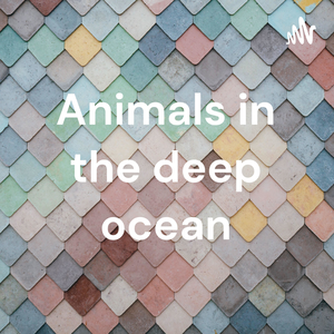 Animals in the deep ocean